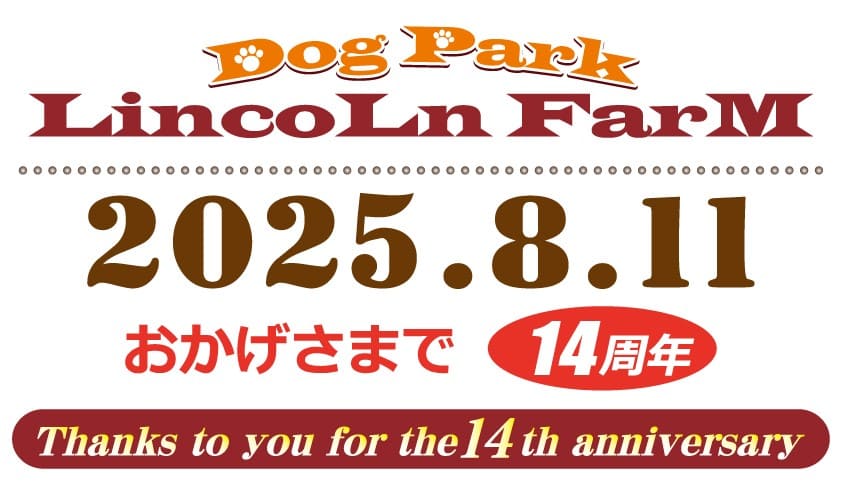 14周年