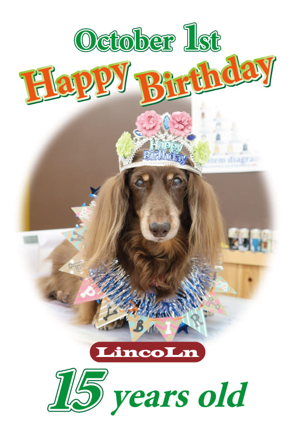 リンカーン15歳誕生日