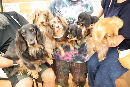 らず&べりぃちゃん